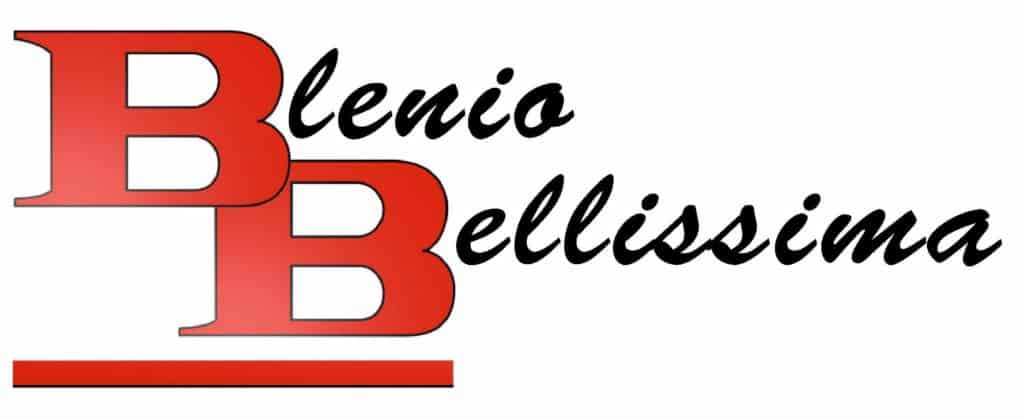 Logo dell'Associazione Blenio Bellissima